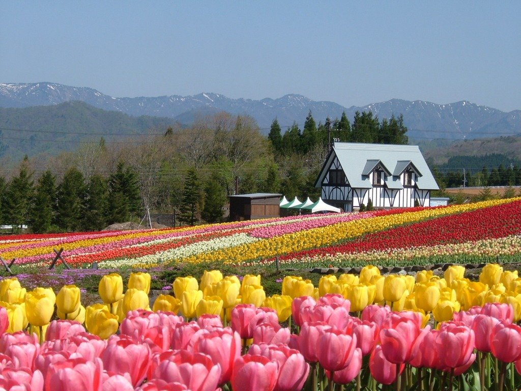 🏞️ 목가적인 마을(보카노사토) 이미지 1